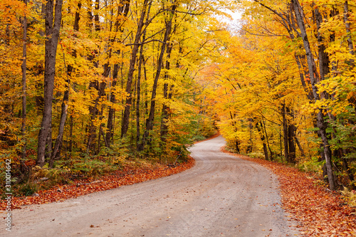 An unpaved road winds its way through the forest during fall in Algonquin Park, Ontario, Canada