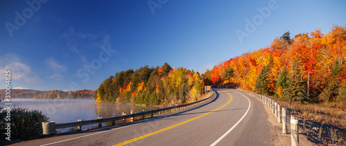 road in autumn photo