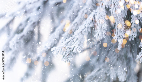 Christmas tree outdoor with snow, lights bokeh around, and snow falling, Christmas atmosphere. Happy New Year © Anastassiya 