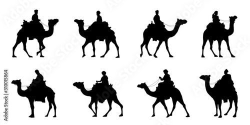 Obraz na płótnie camel riders silhouettes