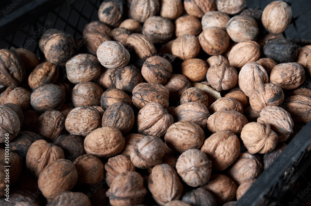 walnut on a black wooden background still life, walnut walnut on a black wooden background still life, walnut