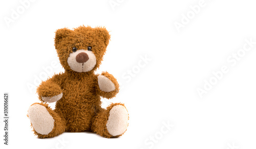 soft toy bear on a white background