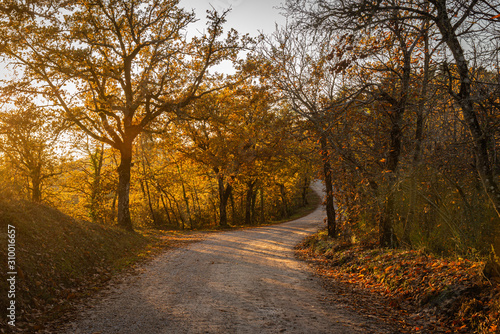Fototapeta Naklejka Na Ścianę i Meble -  Dirt road in autumn