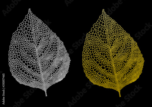 golden leaves, gold leaf, vector set