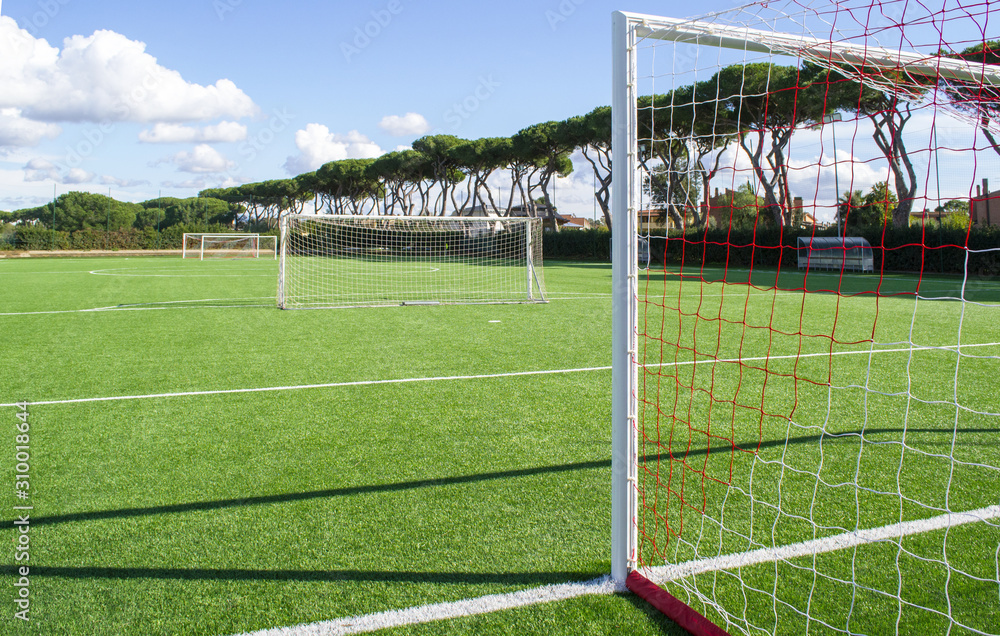 Fototapeta premium campo da calcio in erba