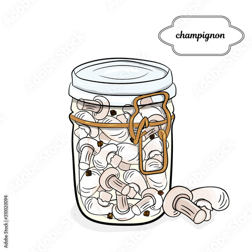 jar with mushrooms,champignons, homemade canning. champignons,  vegetables preserves.. Hand drawing illustration