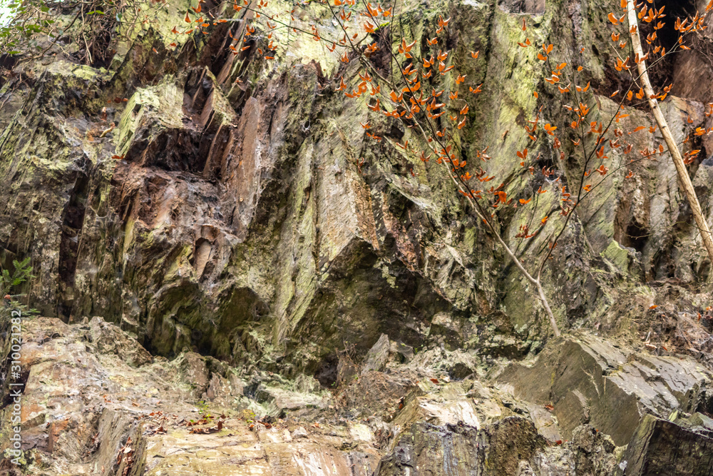 Fototapeta premium Massive Felswand aus Schiefergestein mit Felsvorsprüngen, grünem Moos, schroffen Kanten und steilen Klippen zeigt ein Kletterparadies für Free Climbing, Kletterer und Wanderer durch felsiges Gebirge