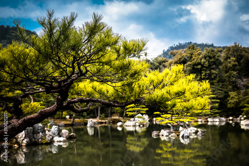 Golden Pavilion (Kinkaku-ji) pond - in Kyoto Japan