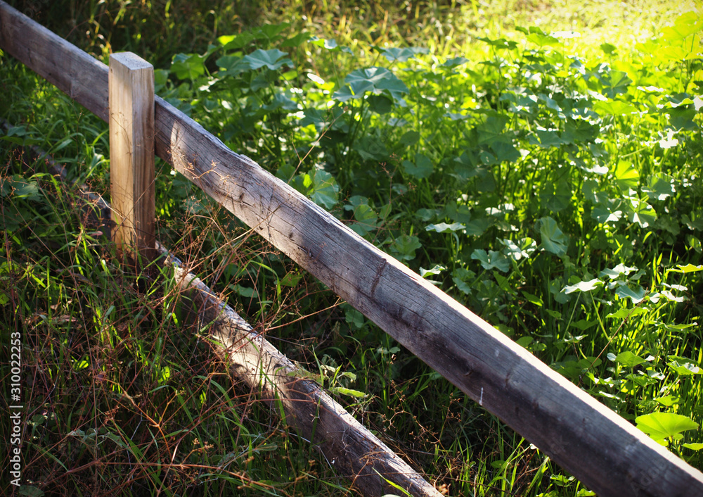 Two Rail Fence and Green Weeds Photographed at an Angle Two Rail Fence and Green Weeds Photographed at an Angle
