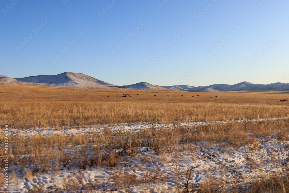 Phenomenal Mountain Phenomenal Mountain