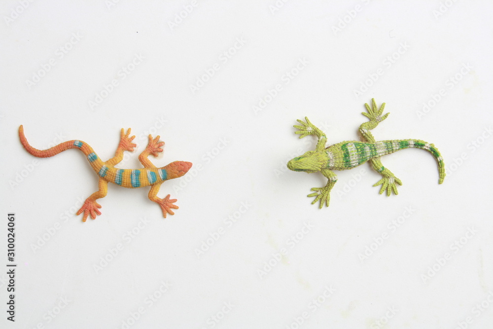 lizard shaped rubber toy in color background