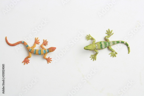 Obraz na płótnie lizard shaped rubber toy in color background w salonie