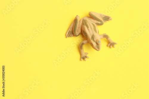 Fototapeta Naklejka Na Ścianę i Meble -  frog shaped rubber toy in color background