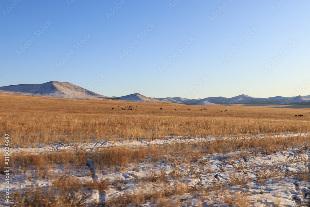 Phenomenal Mountain Phenomenal Mountain