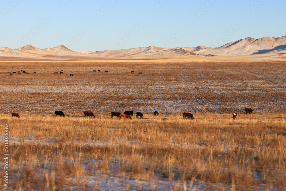 Obraz premium Mountain and animals