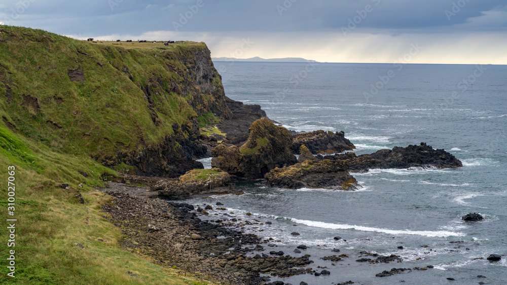 Scenic view of the coast, Giant's Causeway, County Antrim, Northern Ireland, Ireland