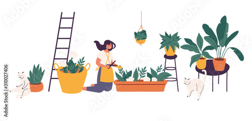 Vector illustration girl taking care of houseplants growing in planters. Young cute woman cultivating potted plants at home.