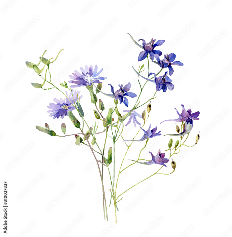 Obraz premium Bouquet of blue wild flowers on a white background
