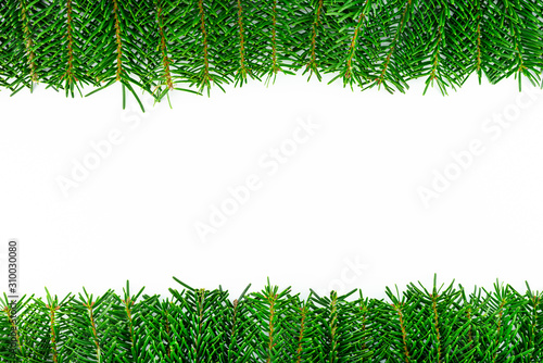 A frame made of fir, twigs arranged at the top and bottom, isolated on a white background.
