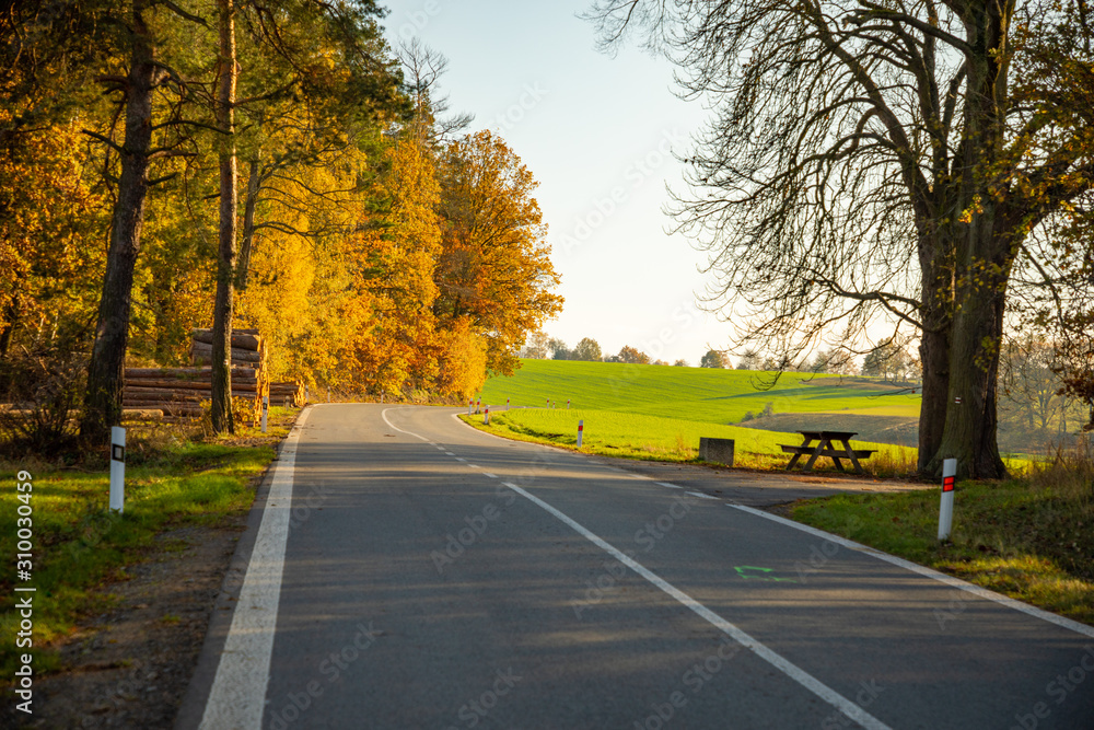 Empty road through autumn forest in north Bohemia, Czech republic