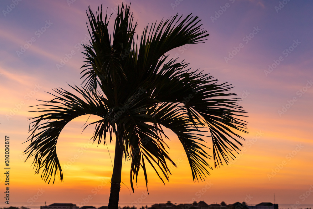 Sunset and tropical palm tree silhouette over Seminyak district with colorful landscape background. Bali island, Indonesia.