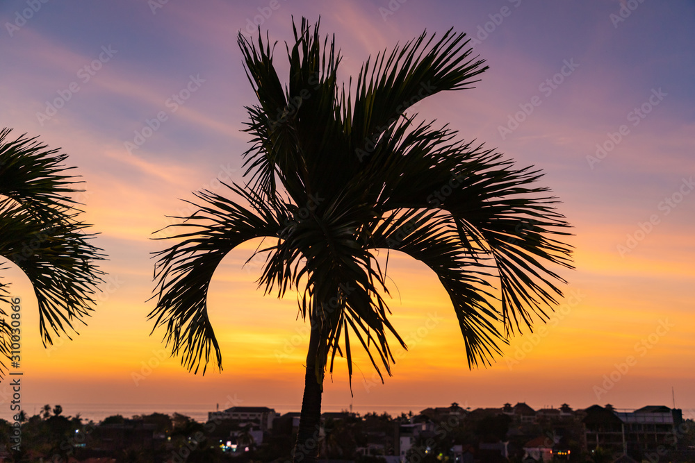 Sunset and tropical palm tree silhouette over Seminyak district with colorful landscape background. Bali island, Indonesia. Sunset and tropical palm tree silhouette over Seminyak district with colorful landscape background. Bali island, Indonesia.