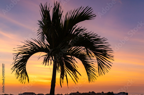 Sunset and tropical palm tree silhouette over Seminyak district with colorful landscape background. Bali island, Indonesia. © umike_foto