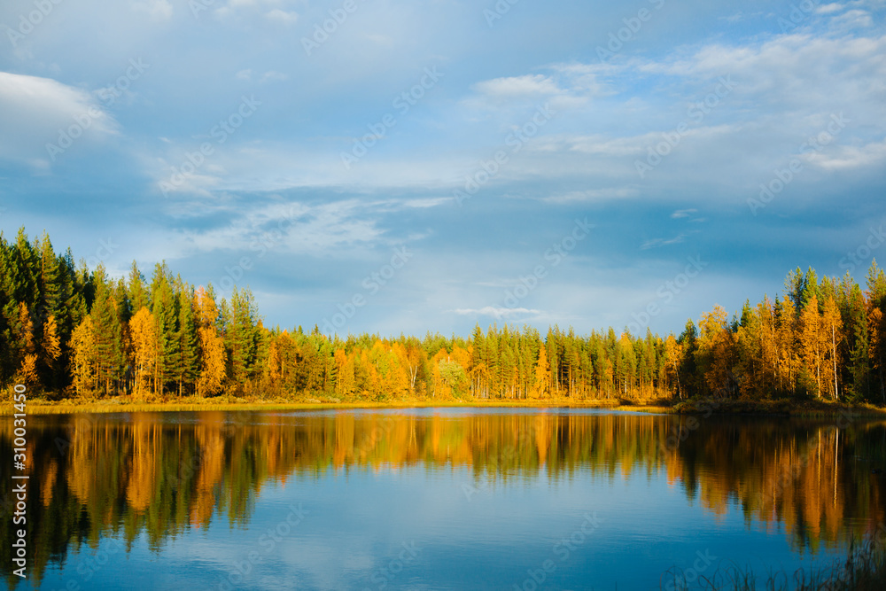 Autumn forest reflecting in lake Autumn forest reflecting in lake