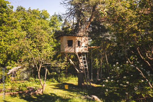 Tree house photo