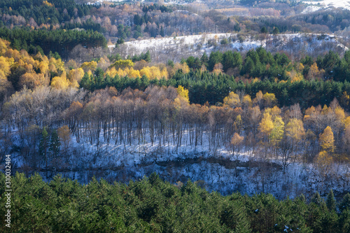 landscape with mountains and trees in autumn