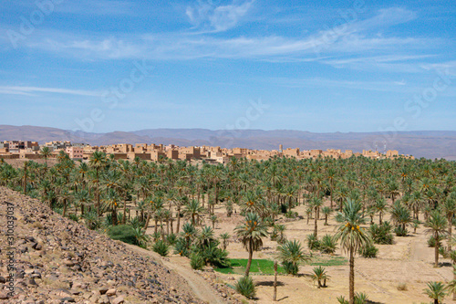 NKotb palm grove in the province of Zagora, in the Atlas Mountains of Morocco