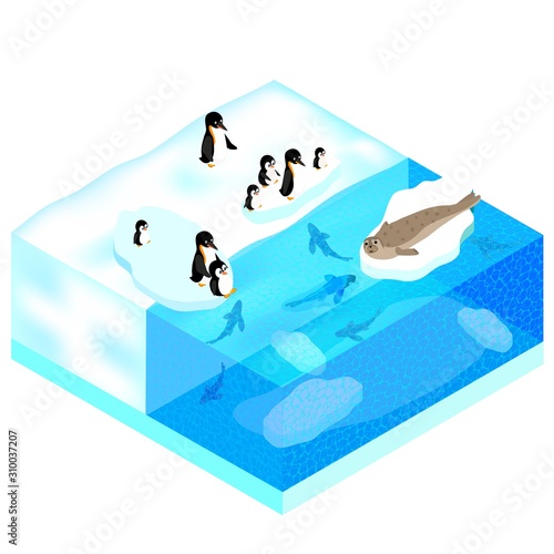 Penguins, seal on the ice. Winter in the sea swims the fish. Vector isometric illustration.