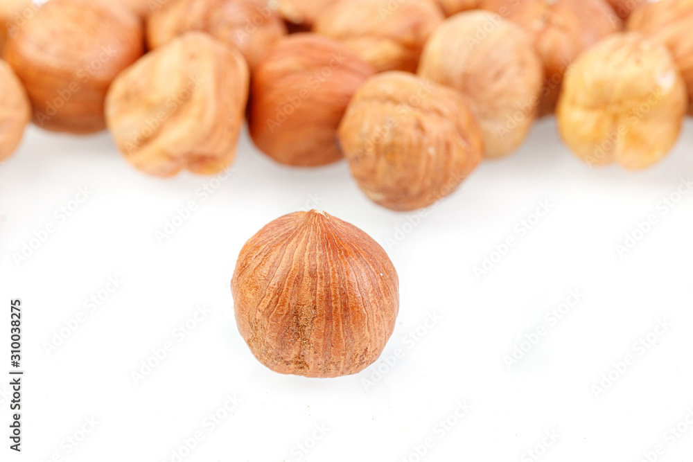 macro hazelnuts nuts on a white background macro hazelnuts nuts on a white background