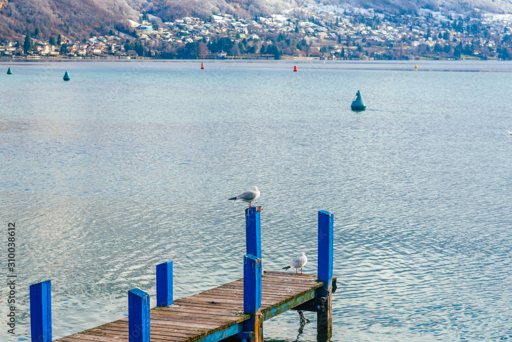 Sea gulls sitting on a pier at a lake in the alps. Photo Mountains in the background and a nice sun light.
