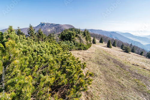 Klak hill is the symbol of the Rajecka valley, Slovakia photo