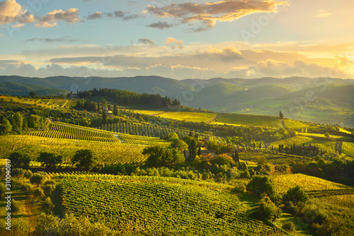 Panzano in Chianti vineyard and panorama at sunset. Tuscany, Italy