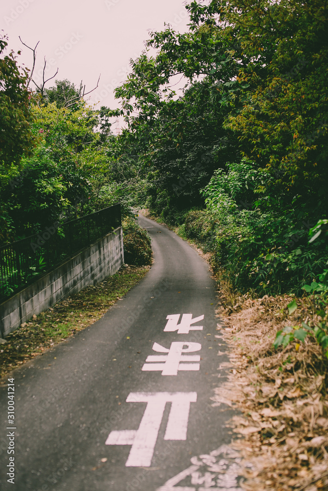 Fototapeta premium Quiet path with lush green trees 