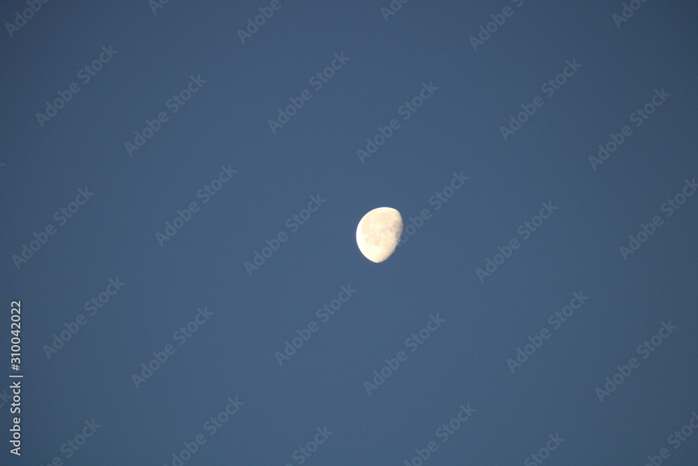 Morning Moon Morning Moon