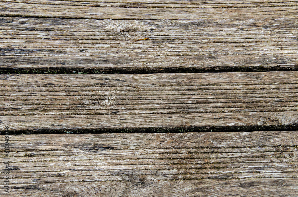 Naklejka premium gray wooden background. Old dry boards. Wood texture. bridge or pier in the village near the river.