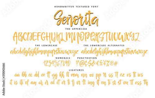 Handwritten script font vector alphabet Senorita set