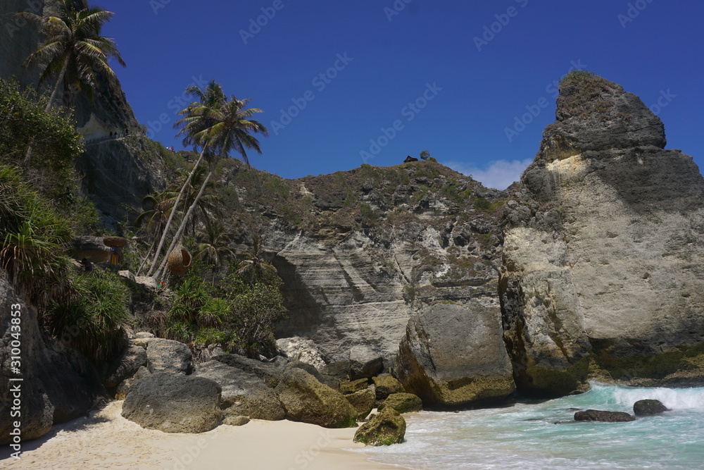 beach palms and rocks