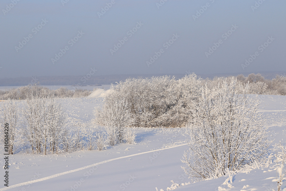 Russian winter, after snowfall, tree branches are covered with snow and sparkle in the sun, snowdrifts knee-deep, off-road. It is a beautiful winter background. Russian winter, after snowfall, tree branches are covered with snow and sparkle in the sun, snowdrifts knee-deep, off-road. It is a beautiful winter background.