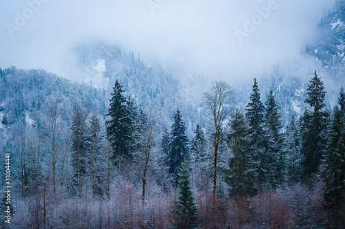Berge und Wald im Schnee - Winter in den Alpen