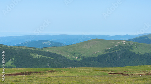 Blick über das grüne Transalpina Gebirge in den rumänischen Karpaten im Sommer
