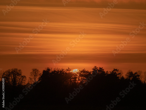 Sonnenuntergang hinter den B  umen