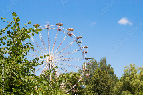 disused ferris wheel in the thickets of trees