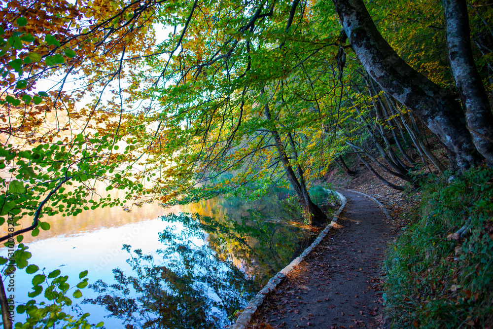 Naklejka premium Autumn landscape