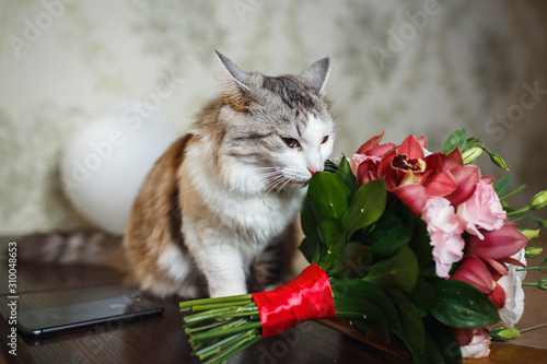 cat with bouquet