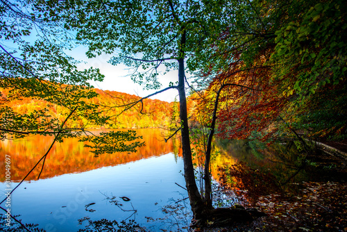 Autumn landscape in the park