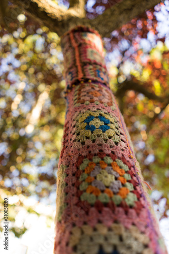 colorful wool knitting covering a tree